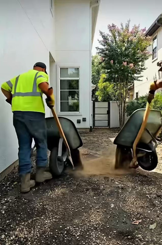 Lawn Care and Maintenance (Consultation)